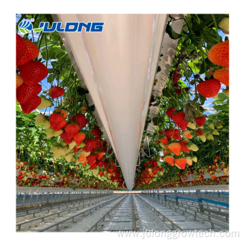 High-tech control glass hydroponic greenhouse for sale